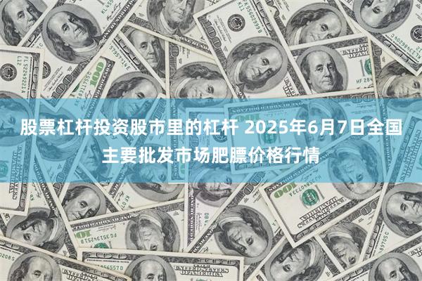 股票杠杆投资股市里的杠杆 2025年6月7日全国主要批发市场肥膘价格行情