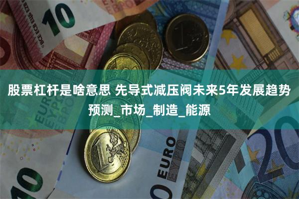 股票杠杆是啥意思 先导式减压阀未来5年发展趋势预测_市场_制造_能源