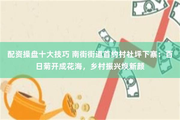 配资操盘十大技巧 南街街道首约村社坪下寨：百日菊开成花海，乡村振兴焕新颜