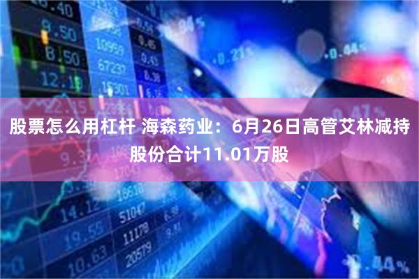 股票怎么用杠杆 海森药业：6月26日高管艾林减持股份合计11.01万股