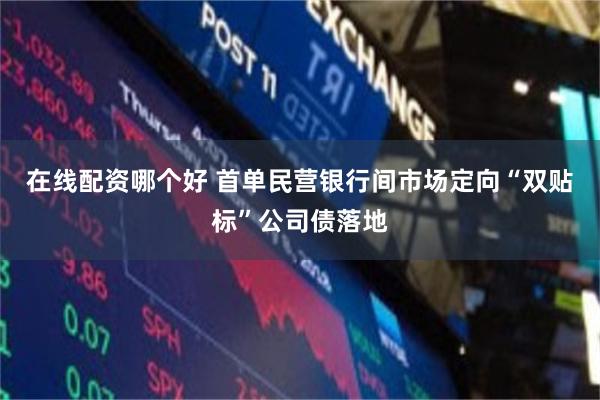在线配资哪个好 首单民营银行间市场定向“双贴标”公司债落地