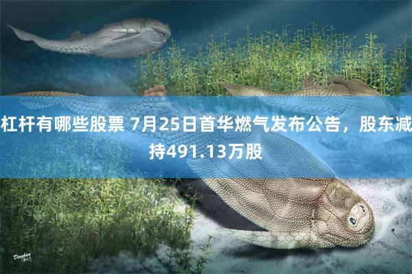 杠杆有哪些股票 7月25日首华燃气发布公告，股东减持491.13万股