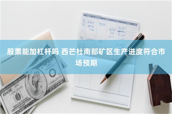 股票能加杠杆吗 西芒杜南部矿区生产进度符合市场预期