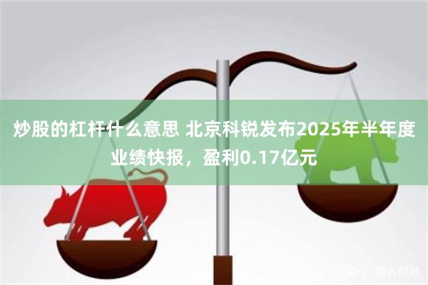 炒股的杠杆什么意思 北京科锐发布2025年半年度业绩快报，盈利0.17亿元