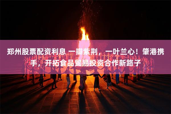 郑州股票配资利息 一瓣紫荆，一叶兰心！肇港携手，开拓食品贸易投资合作新路子