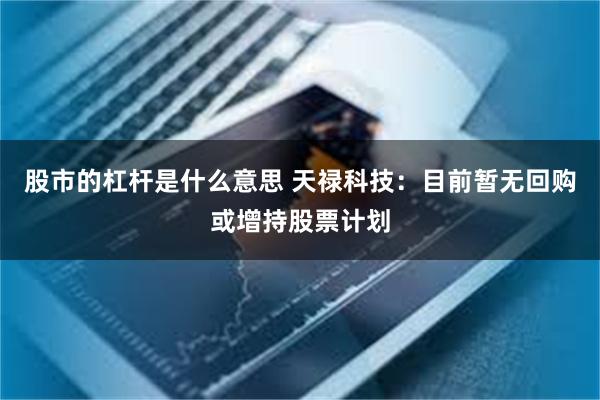 股市的杠杆是什么意思 天禄科技：目前暂无回购或增持股票计划