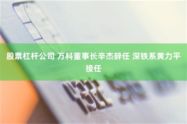 股票杠杆公司 万科董事长辛杰辞任 深铁系黄力平接任