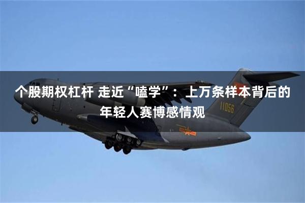 个股期权杠杆 走近“嗑学”：上万条样本背后的年轻人赛博感情观