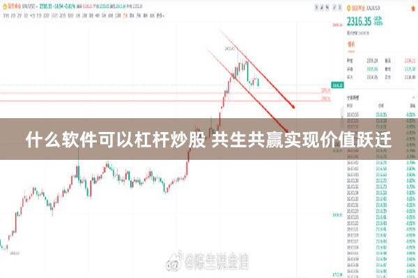 什么软件可以杠杆炒股 共生共赢实现价值跃迁