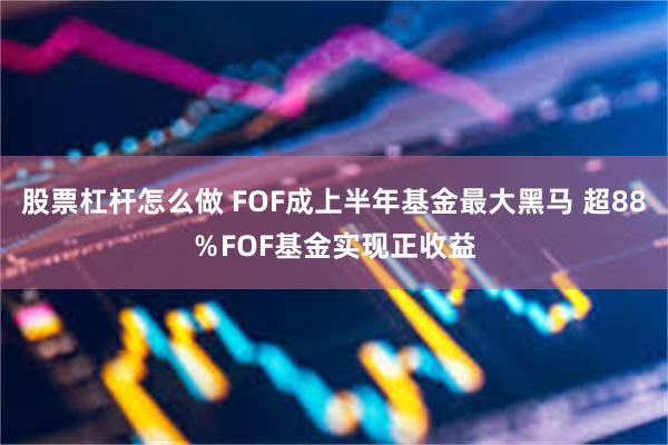 股票杠杆怎么做 FOF成上半年基金最大黑马 超88%FOF基金实现正收益