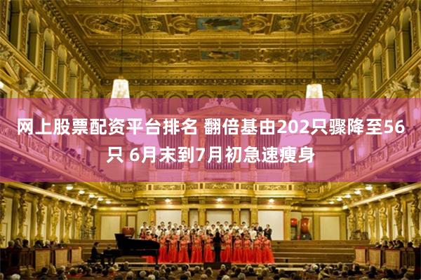 网上股票配资平台排名 翻倍基由202只骤降至56只 6月末到7月初急速瘦身