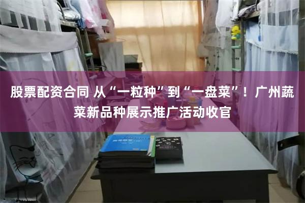 股票配资合同 从“一粒种”到“一盘菜”！广州蔬菜新品种展示推广活动收官