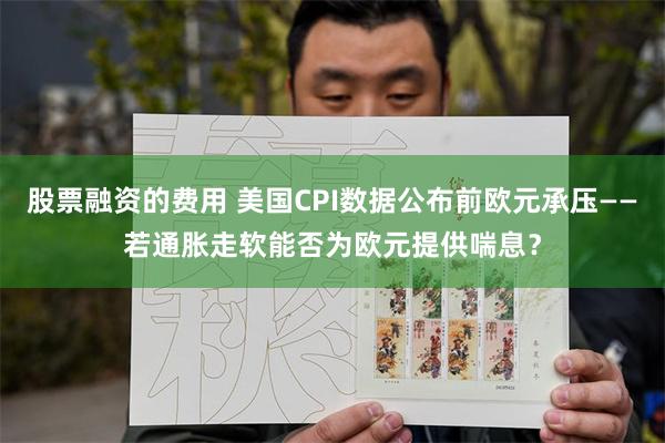 股票融资的费用 美国CPI数据公布前欧元承压——若通胀走软能否为欧元提供喘息?
