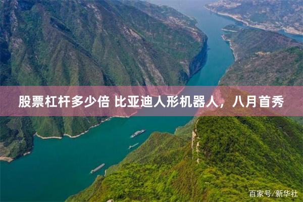 股票杠杆多少倍 比亚迪人形机器人，八月首秀