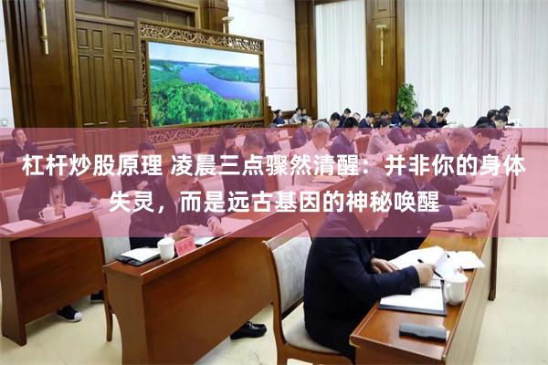 杠杆炒股原理 凌晨三点骤然清醒:并非你的身体失灵,而是远古基因的神秘唤醒