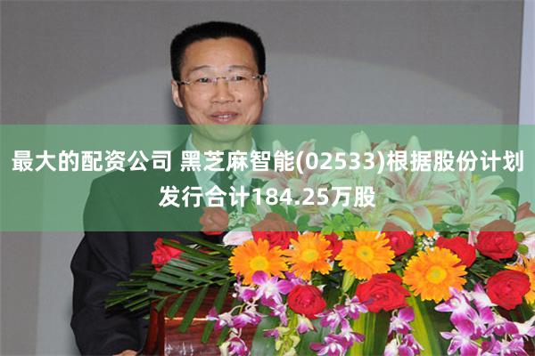 最大的配资公司 黑芝麻智能(02533)根据股份计划发行合计184.25万股