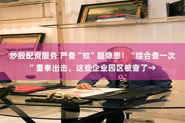 炒股配资服务 严查“蚊”题隐患！“综合查一次”重拳出击，这些企业园区被查了→