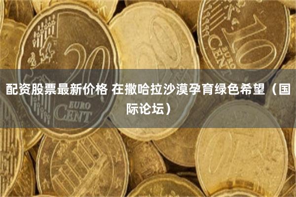 配资股票最新价格 在撒哈拉沙漠孕育绿色希望（国际论坛）
