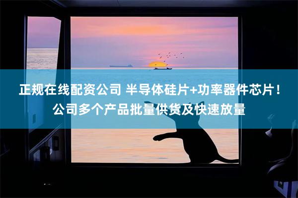 正规在线配资公司 半导体硅片+功率器件芯片！公司多个产品批量供货及快速放量