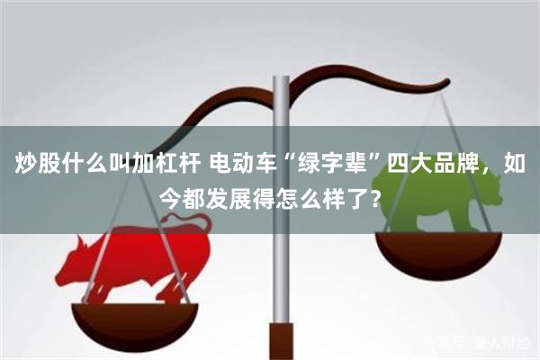 炒股什么叫加杠杆 电动车“绿字辈”四大品牌，如今都发展得怎么样了？