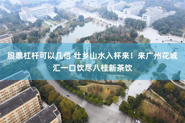 股票杠杆可以几倍 壮乡山水入杯来！来广州花城汇一口饮尽八桂新茶饮