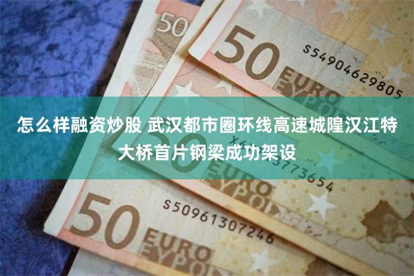 怎么样融资炒股 武汉都市圈环线高速城隍汉江特大桥首片钢梁成功架设