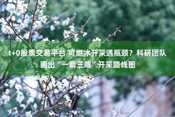 t+0股票交易平台 可燃冰开采遇瓶颈？科研团队画出“一箭三雕”开采路线图
