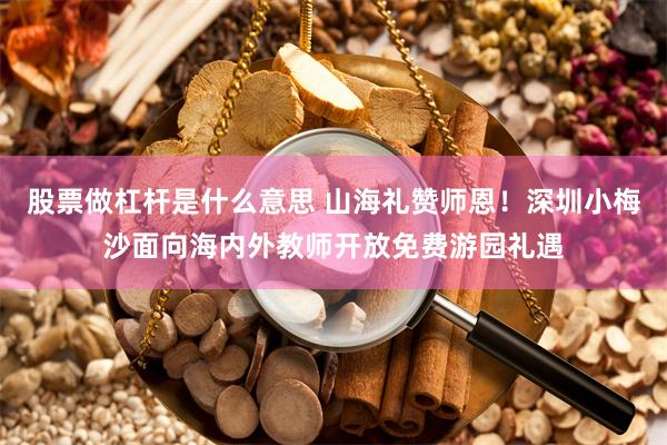股票做杠杆是什么意思 山海礼赞师恩！深圳小梅沙面向海内外教师开放免费游园礼遇