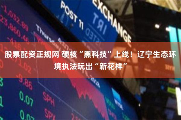 股票配资正规网 硬核“黑科技”上线！辽宁生态环境执法玩出“新花样”